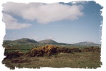 County Donegal, , widok na góry które  autor  zdjęcia nazywał

Dwiema Siostrami

© by Free bird maj 2004